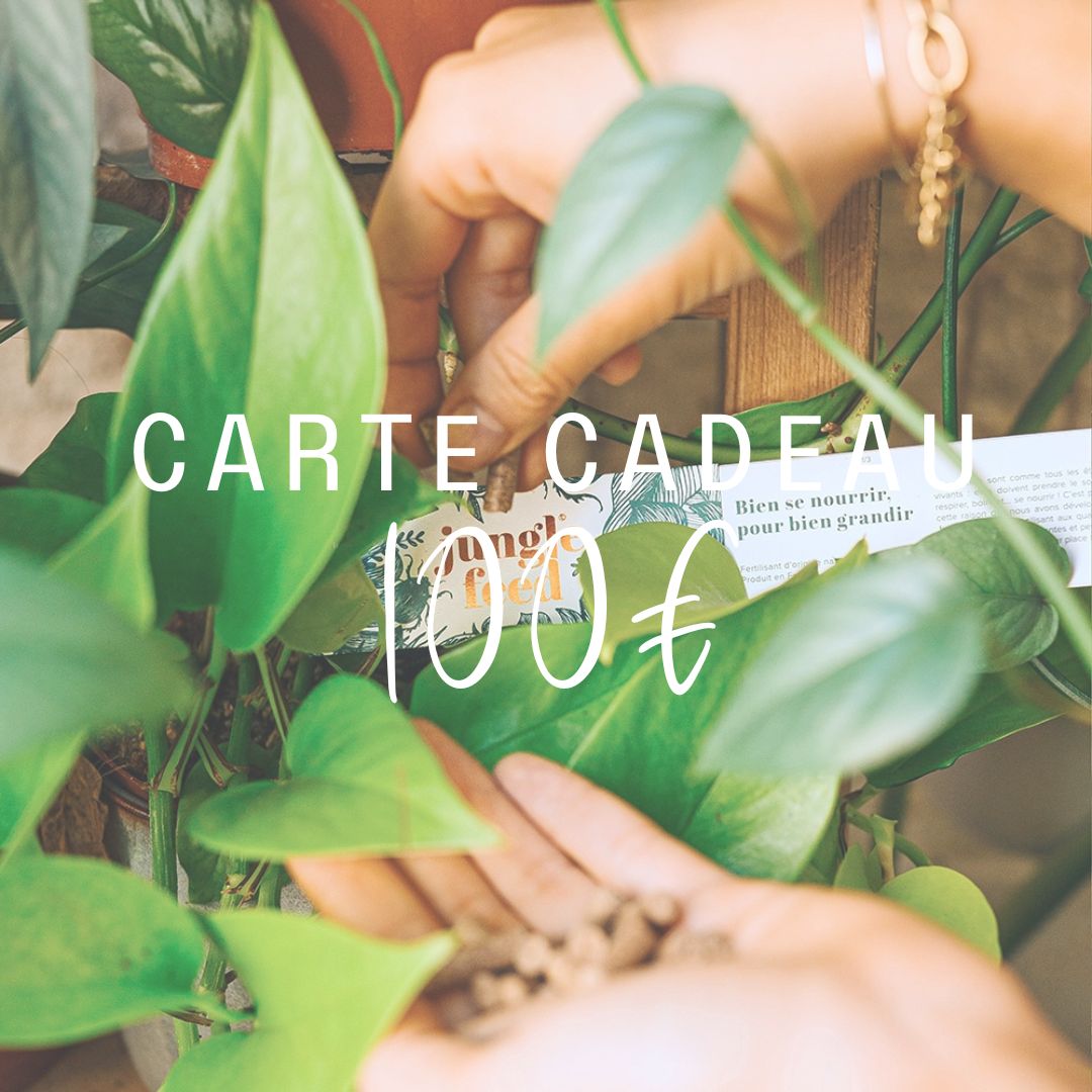 Carte cadeau - Jungle Feed