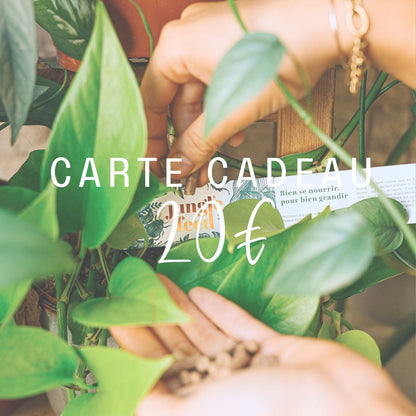 Carte cadeau - Jungle Feed