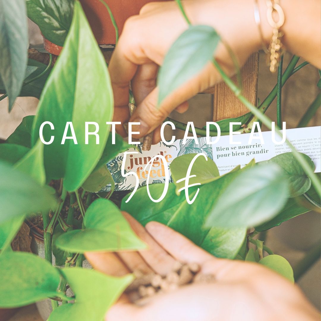 Carte cadeau - Jungle Feed