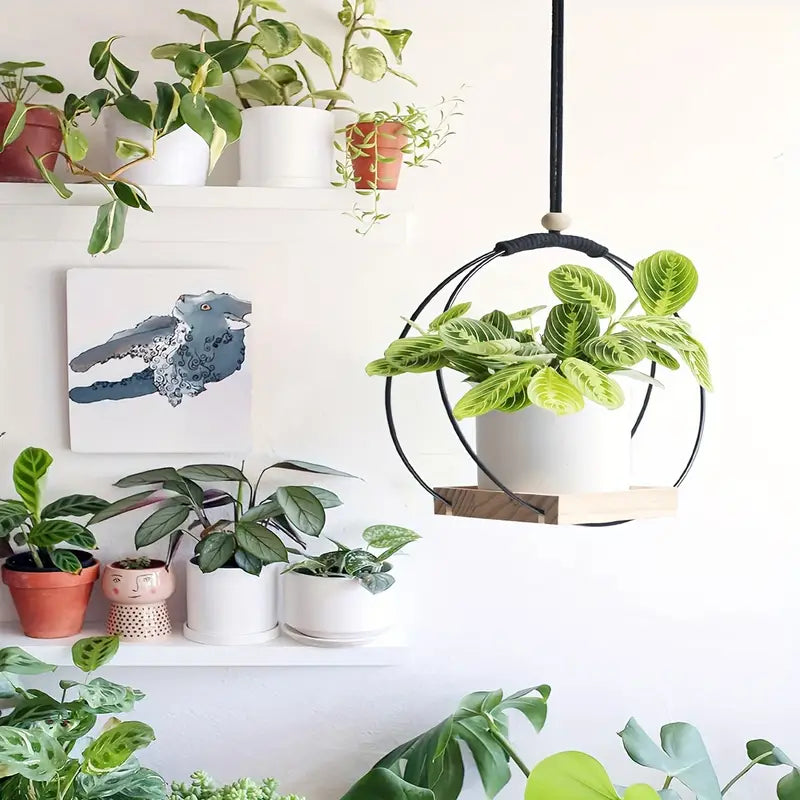 Support pour plantes suspendu en bois et macramé bohème - Design moderne et élégant