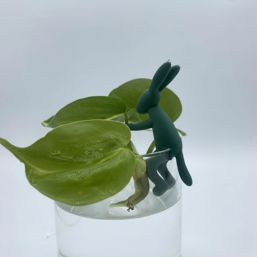Petite figurine en forme de lapin vert foncé assise sur le rebord d'un verre transparent, tenant une bouture de plante verte enracinée.