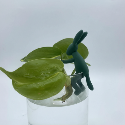 Petite figurine en forme de lapin vert foncé assise sur le rebord d'un verre transparent, tenant une bouture de plante verte enracinée.
