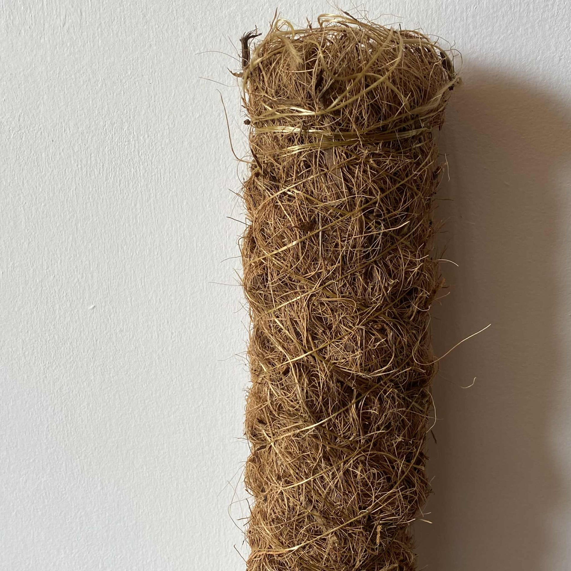 Gros plan sur le haut d'un tuteur de plante en fibre de coco, montrant la texture du matériau et le fil de support métallique.