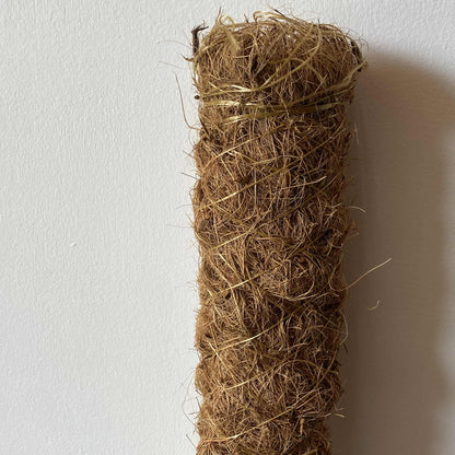 Gros plan sur le haut d'un tuteur de plante en fibre de coco, montrant la texture du matériau et le fil de support métallique.