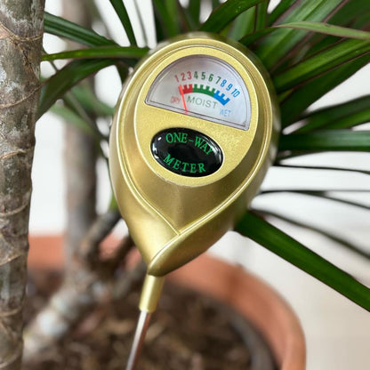 hydrometre de couleur or en mode portrait dans une dracaena indiquant que la plante est sèche