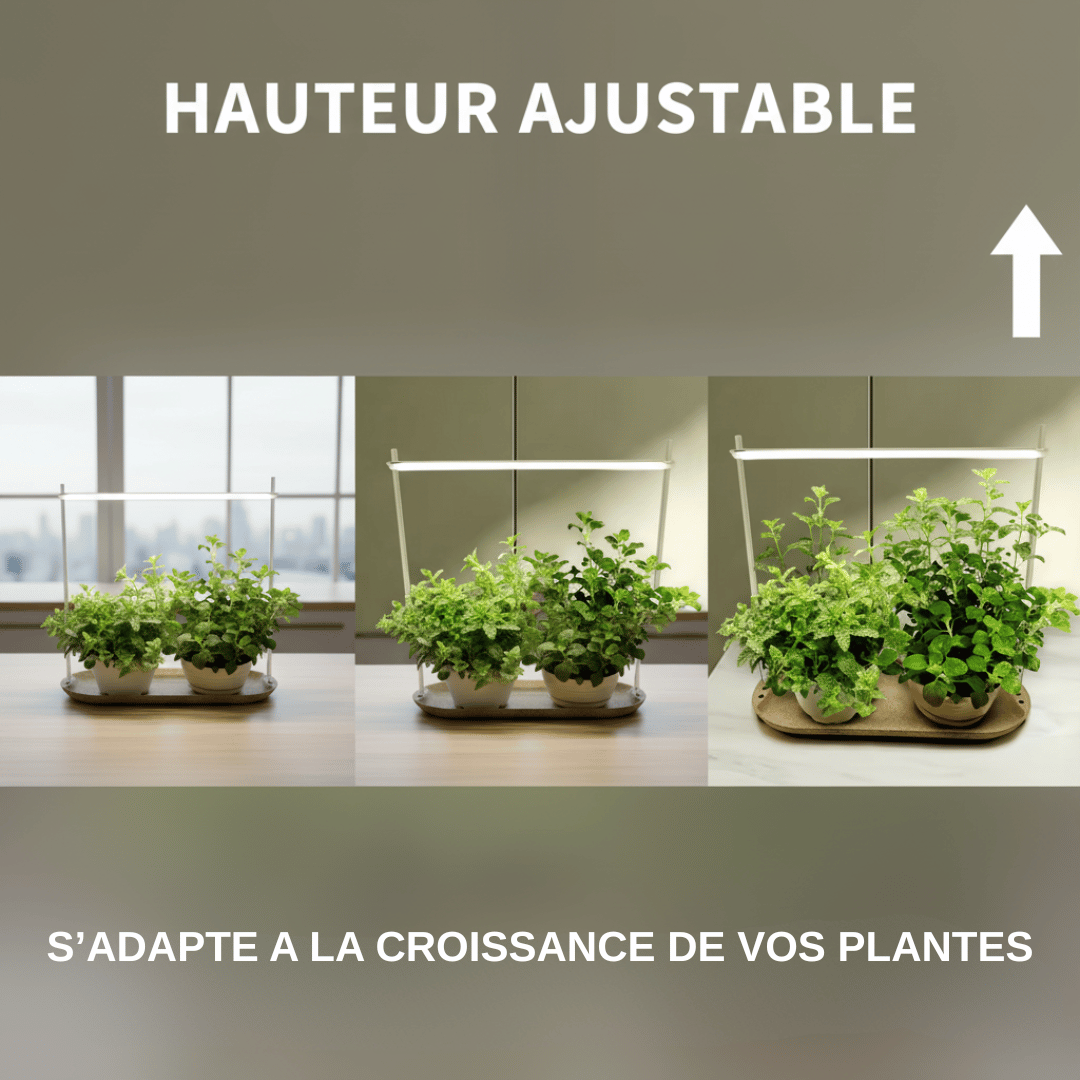 Potager d'intérieur avec deux pots de menthe sous une lampe de croissance LED au design moderne. Le plateau et le support en métal blanc s'intègrent dans n'importe quel décor de cuisine ou de salon.