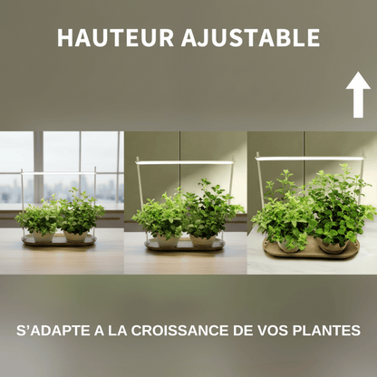 Potager d'intérieur avec deux pots de menthe sous une lampe de croissance LED au design moderne. Le plateau et le support en métal blanc s'intègrent dans n'importe quel décor de cuisine ou de salon.