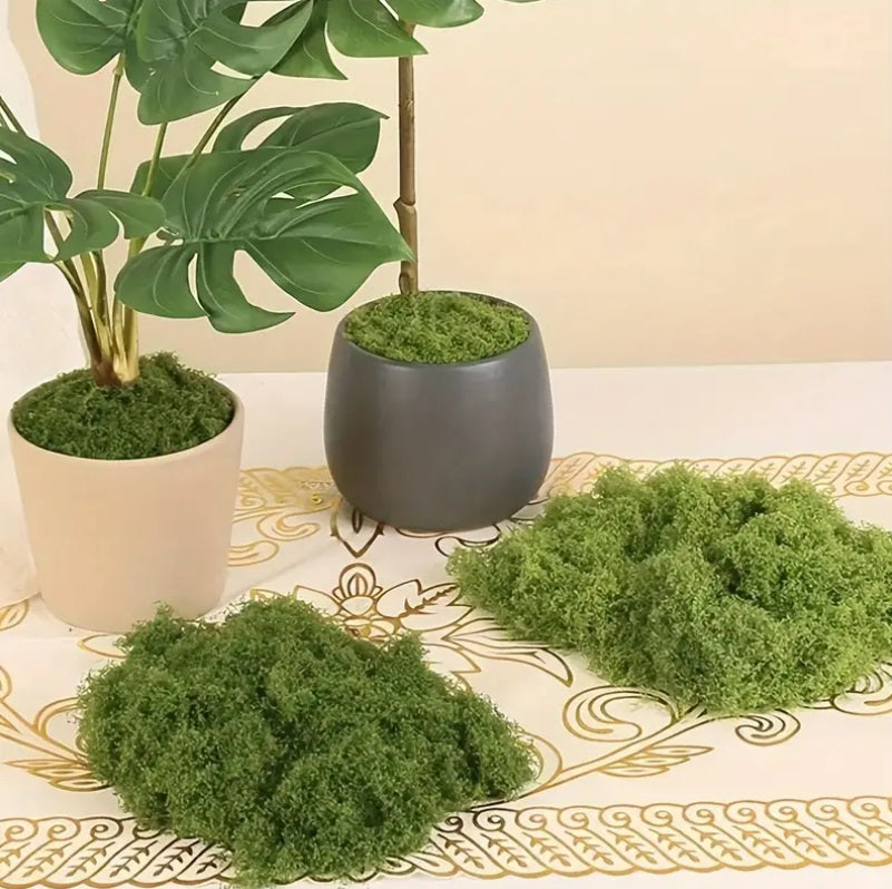 Mousse artificielle pour décoration de plantes