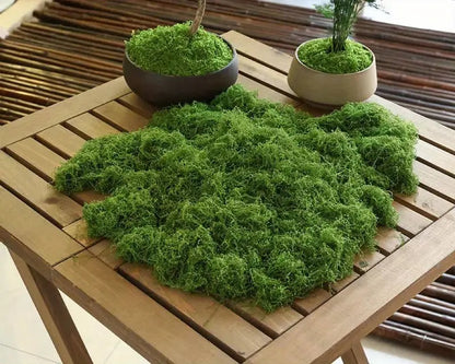 Mousse artificielle pour décoration de plantes