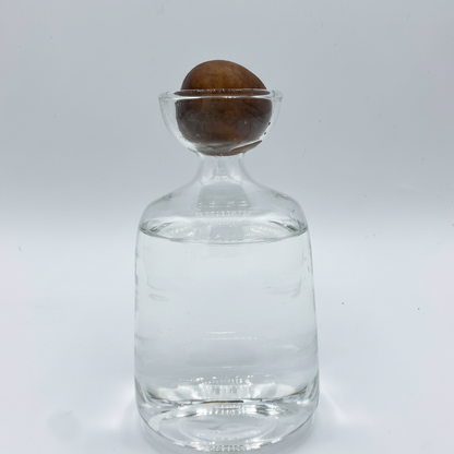 Gros plan sur un noyau d'avocat posé sur le goulot d'un verre en forme de carafe, avec de l'eau au fond, sur un fond blanc.
