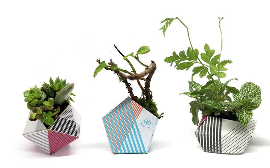 OriBon - Classique | Pot de plantes en origami - Jungle Feed