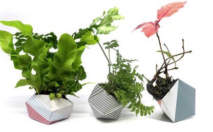 OriBon - Classique | Pot de plantes en origami - Jungle Feed