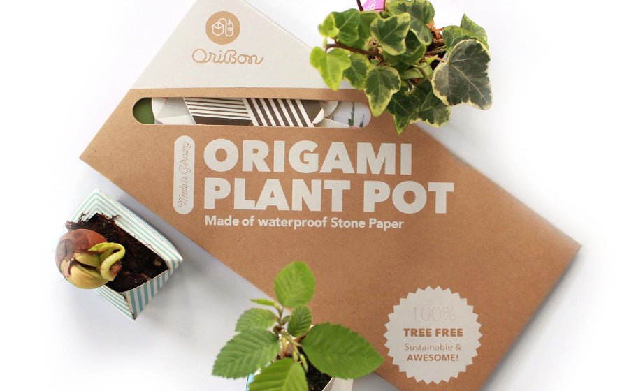 OriBon - Classique | Pot de plantes en origami - Jungle Feed