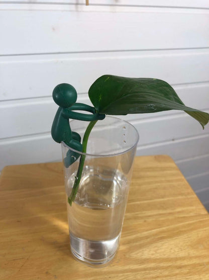 petit personnage en plastique vert sapin qui tient une bouture d'epipremnum aureum dans un verre d'eau posé sur un tabouret
