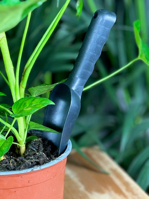 petite pelle jardin noir en vue gros plan