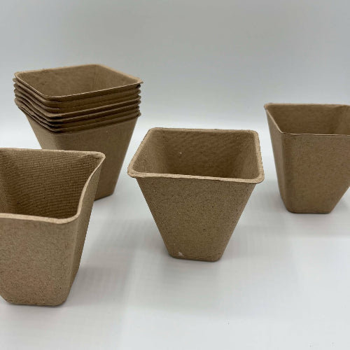 petits pot biodégradable en groupe 2