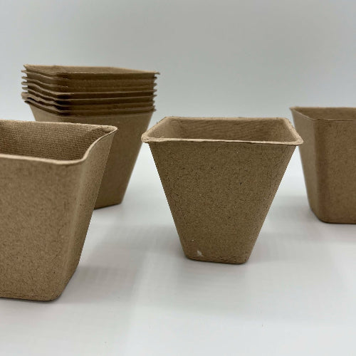 petits pots biodégradable en groupe