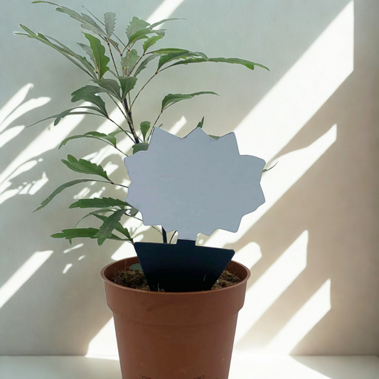 Attrape-mouches et moucherons pour plantes - Protection efficace