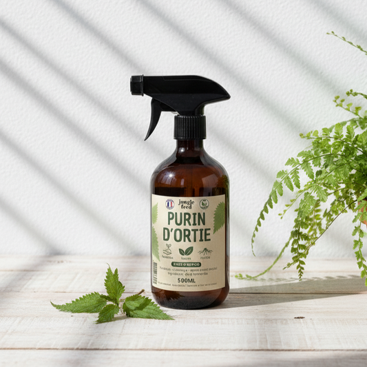 Une bouteille de "Jungle Feed Purin d'Ortie" posée sur une table en bois clair, à côté d'une feuille d'ortie fraîche et d'une petite plante en pot en arrière-plan. La scène est éclairée par des ombres de persiennes.