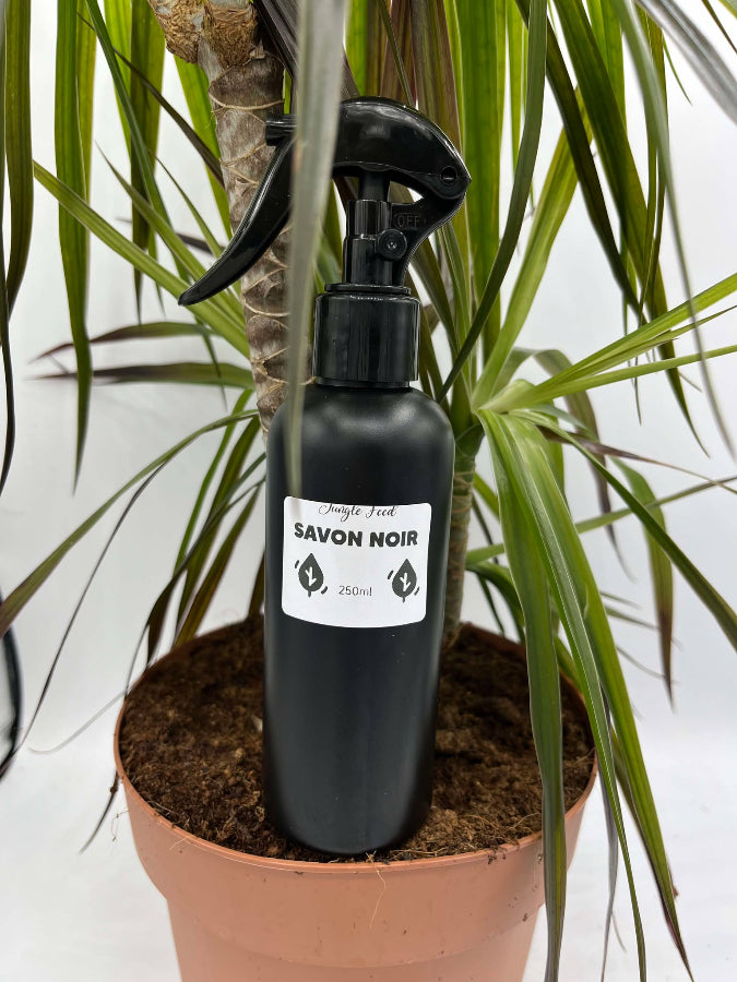 Savon noir 250 ml posé sur le pot d'une plante