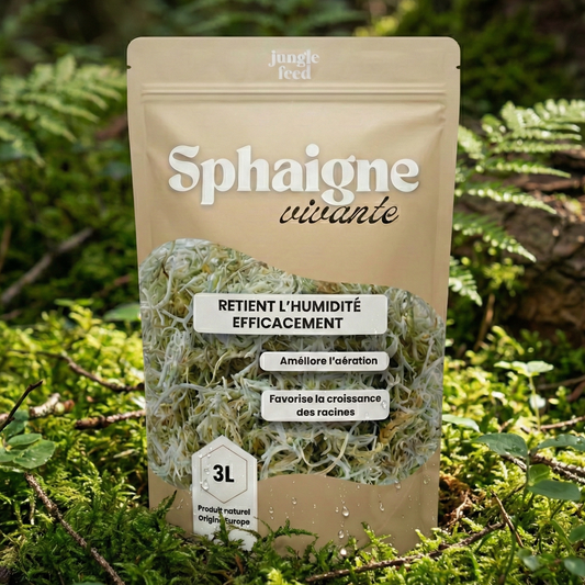 packaging jungle feed sphaigne vivante 3L  dans une foret avec de la mousse sur le sol 