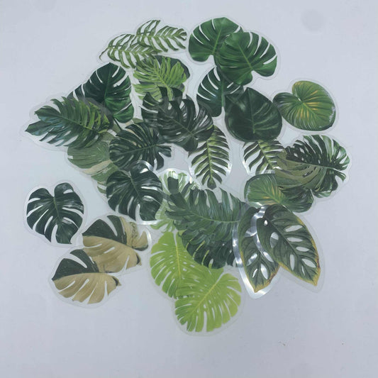 Gros plan sur un assortiment de stickers représentant différentes feuilles de Monstera, y compris la Monstera deliciosa et la Monstera adansonii, sur un fond blanc.