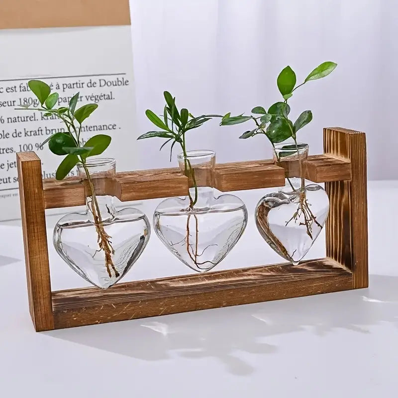 Terrarium aérien pour plantes avec support en bois