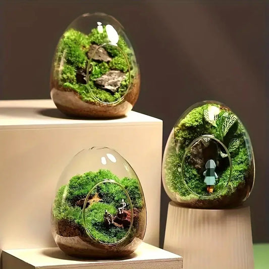 Terrariums en forme d'œuf avec mini paysages de mousse et décorations naturelles