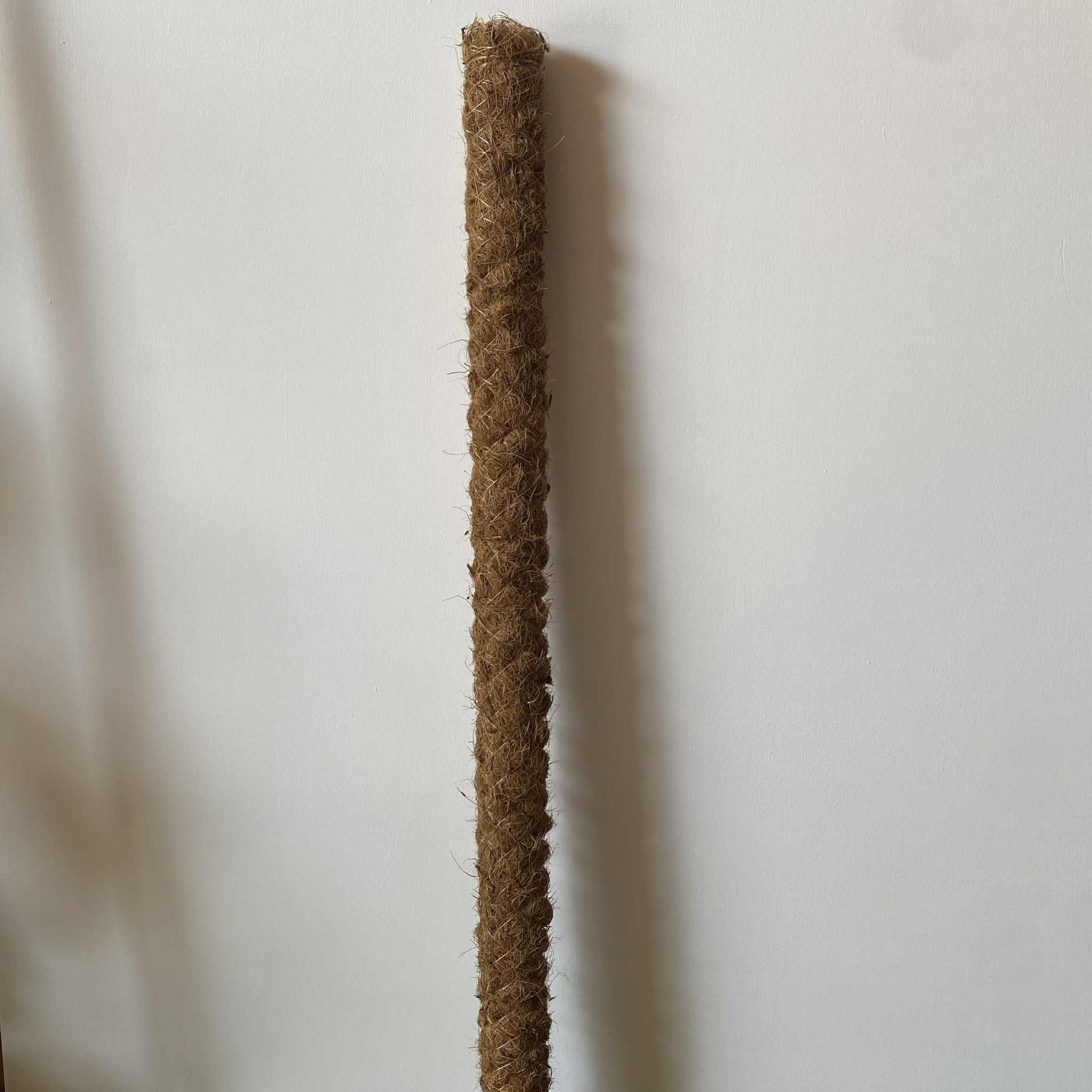 Gros plan sur la texture d'un tuteur de plante en fibre de coco, idéal pour le support des plantes grimpantes d'intérieur.