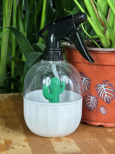 vaporisateur transparent avec une décoration en forme de cactus vert à l'intérieur