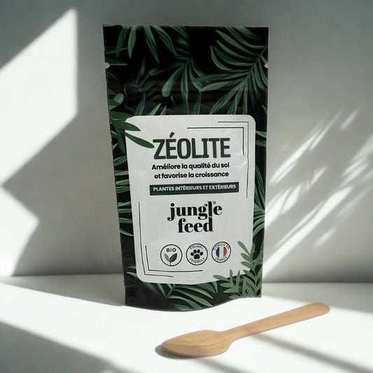 Zéolite pure - 50g