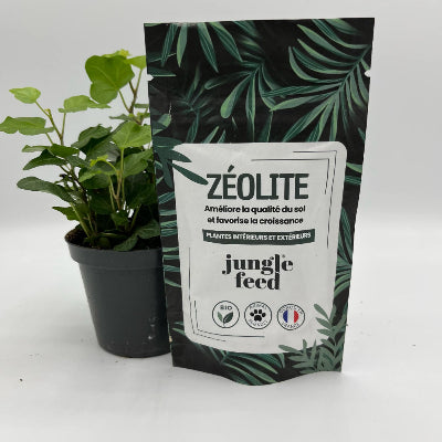 Le sachet de la zéolite est à côté d'une plante verte 